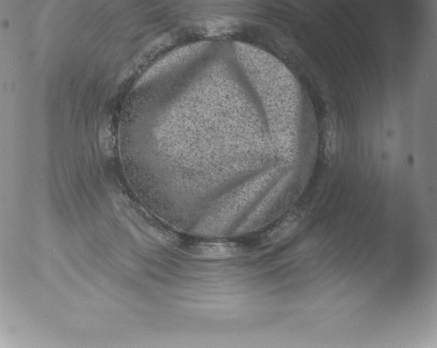 X0000051890316200507081945