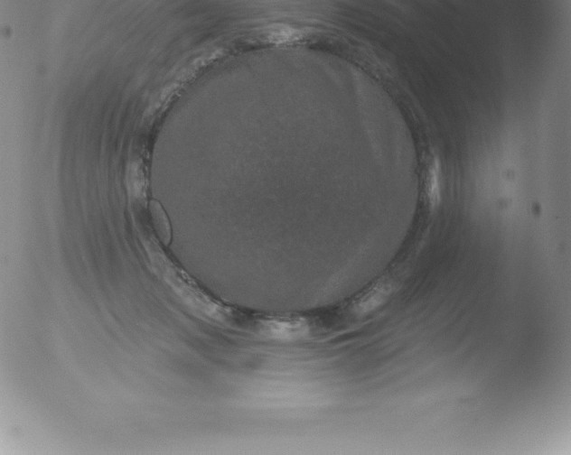 X0000051890317200507081945