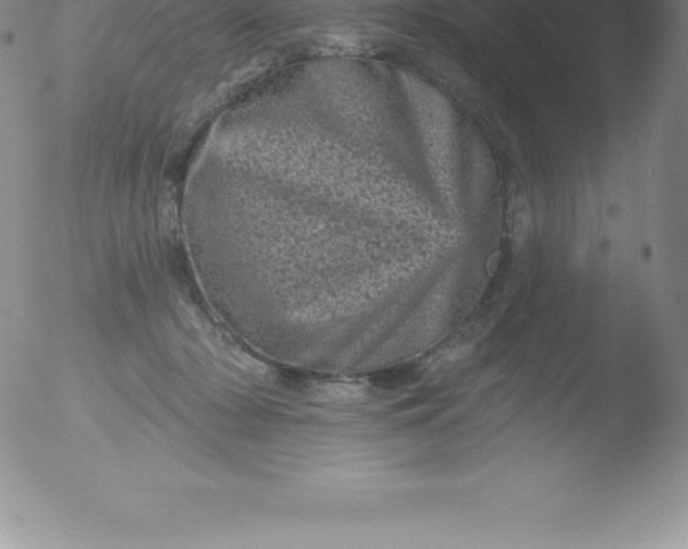 X0000051890318200507081945