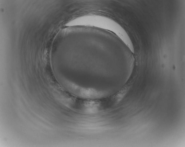 X0000051890319200507081945