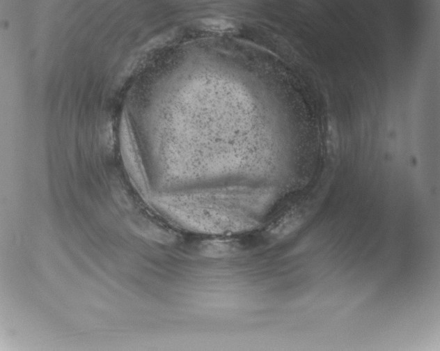 X0000051890320200507081945