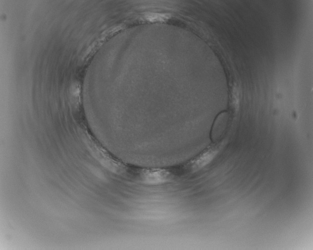 X0000051890321200507081945