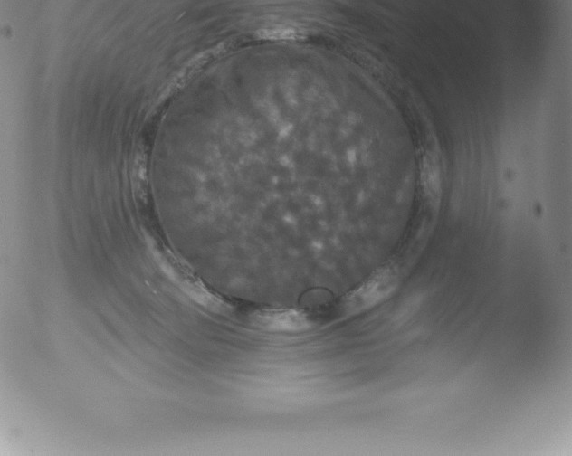 X0000051890322200507081945