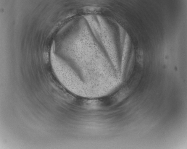 X0000051890324200507081945