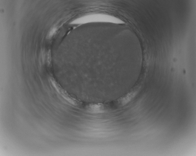 X0000051890325200507081945