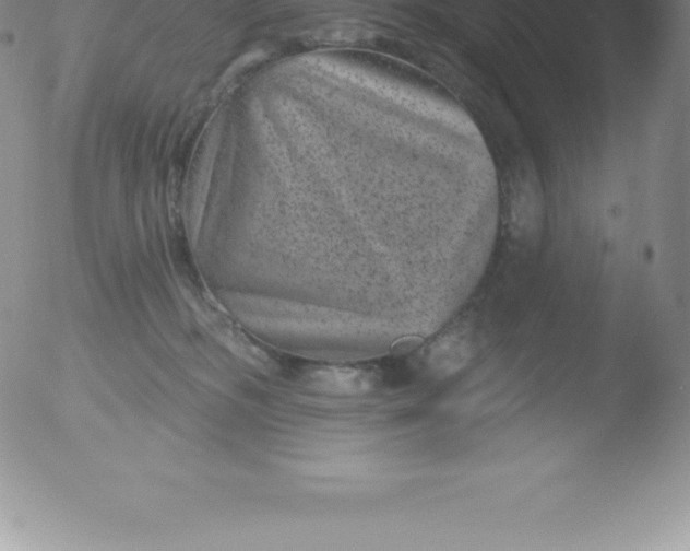 X0000051890326200507081945