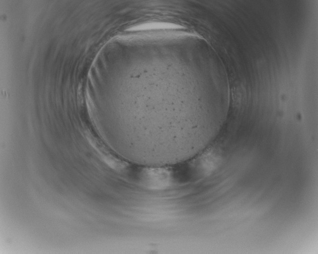 X0000051890327200507081945