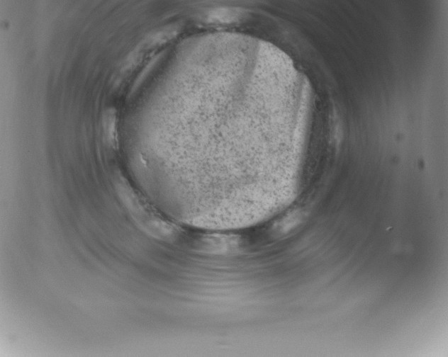 X0000051890328200507081945