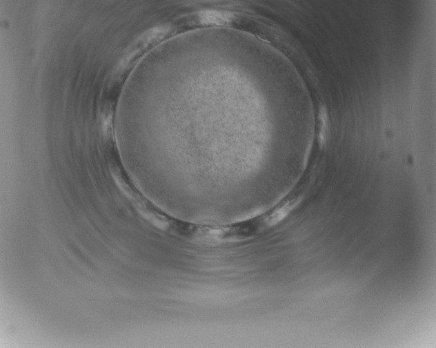 X0000051890329200507081945