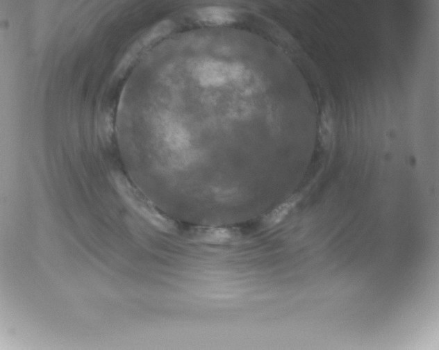 X0000051890330200507081945