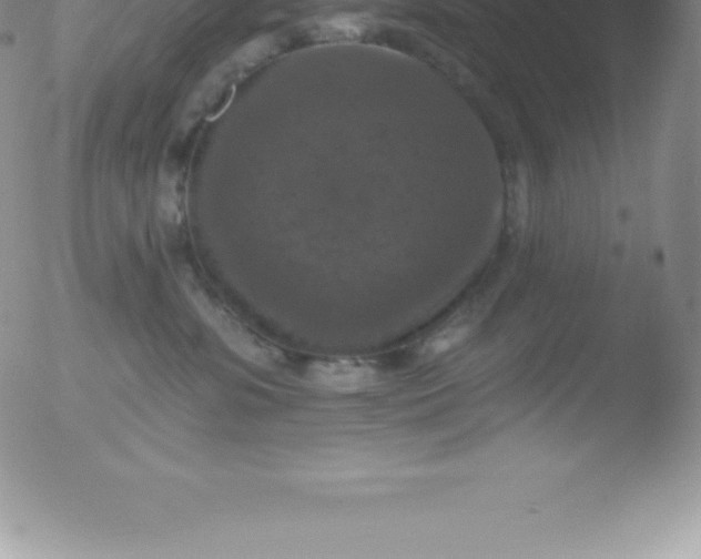 X0000051890331200507081945