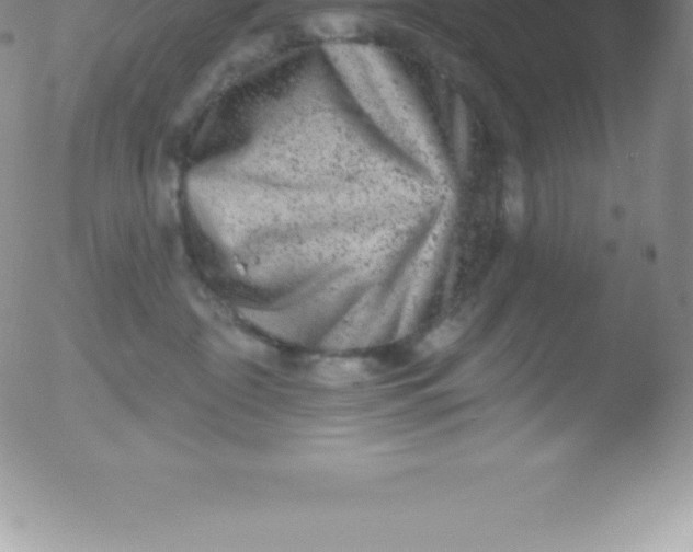 X0000051890332200507081945