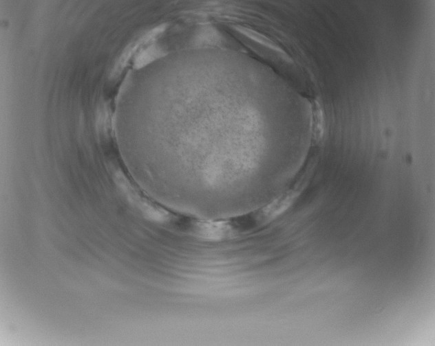 X0000051890333200507081945