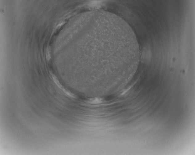 X0000051890335200507081945