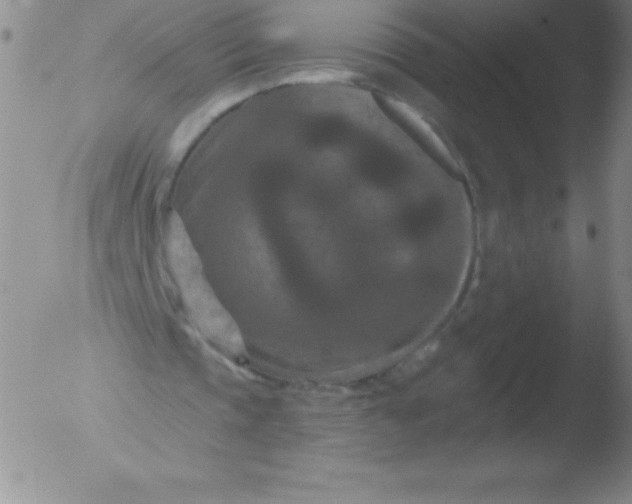 X0000051890337200507081944