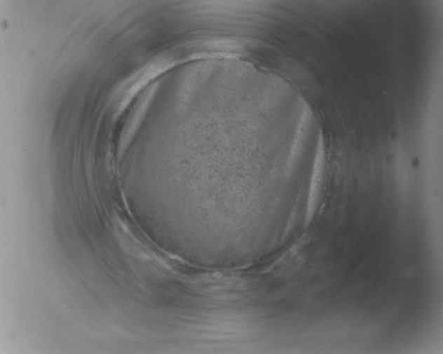 X0000051890338200507081944