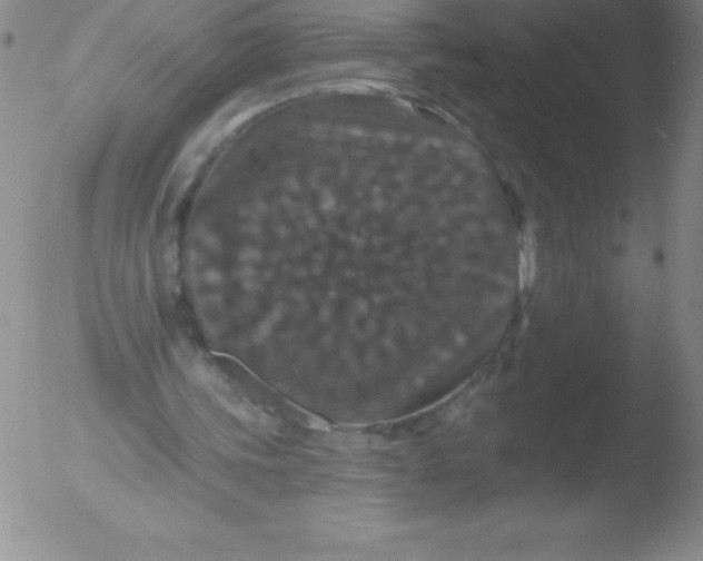 X0000051890339200507081944