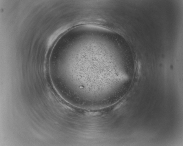 X0000051890340200507081944