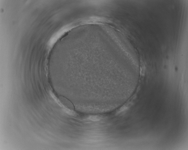 X0000051890341200507081944