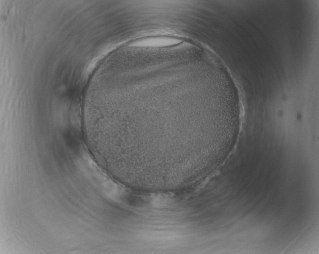 X0000051890345200507081944