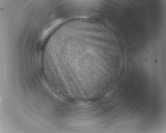 X0000051890346200507081944