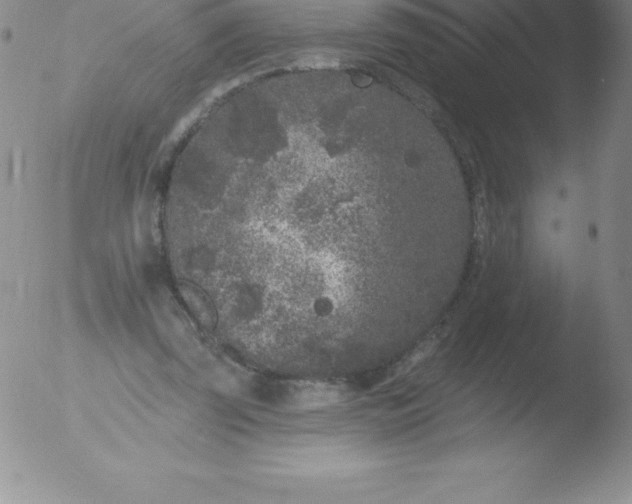 X0000051890347200507081944