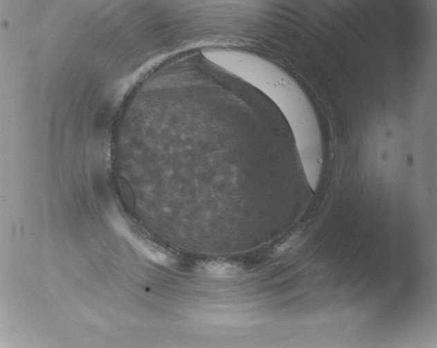 X0000051890348200507081944