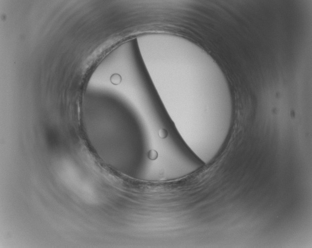 X0000051890349200507081944