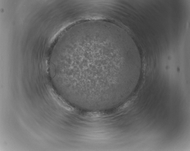 X0000051890351200507081944