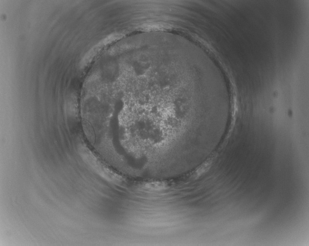 X0000051890353200507081944