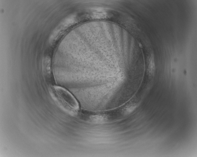 X0000051890356200507081944