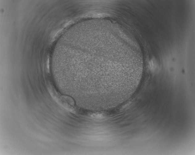 X0000051890358200507081944