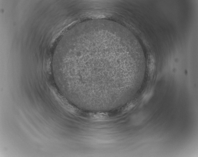 X0000051890359200507081944