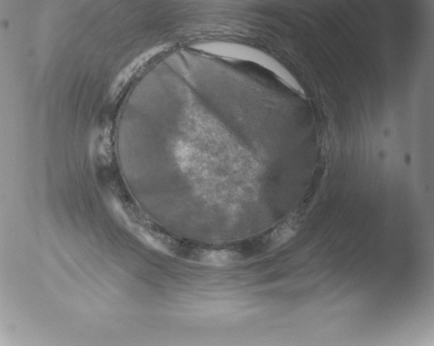 X0000051890360200507081944