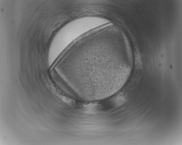 X0000051890362200507081944