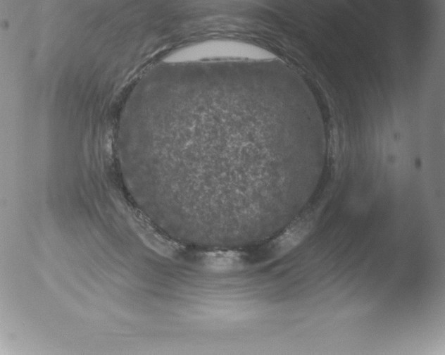 X0000051890363200507081945