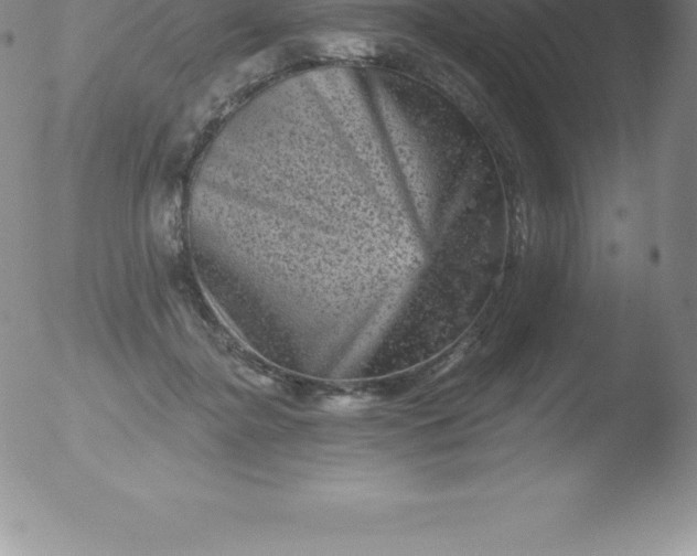 X0000051890364200507081945