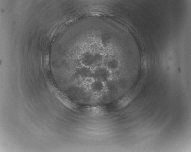 X0000051890365200507081945