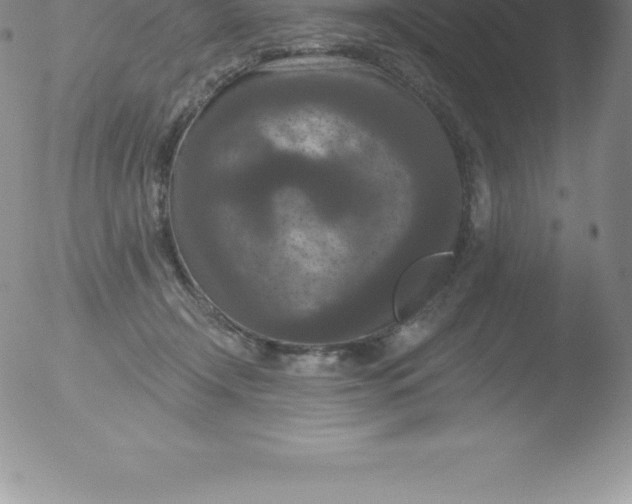 X0000051890366200507081945