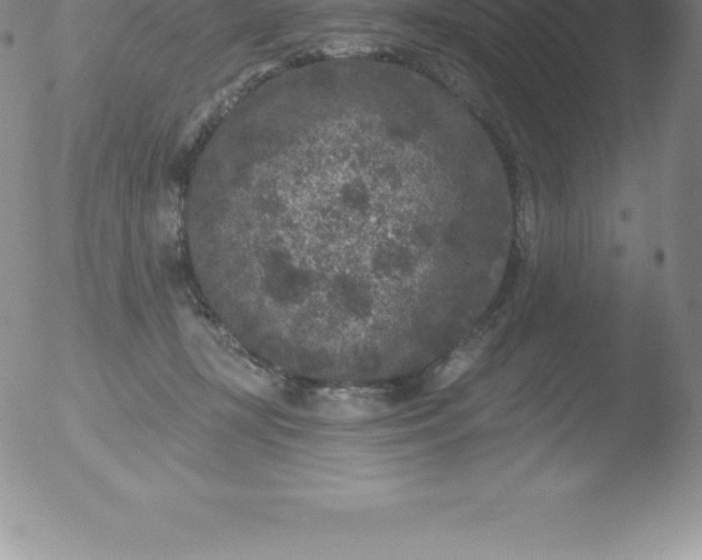 X0000051890367200507081945