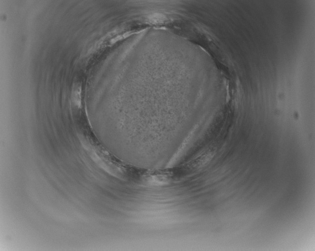 X0000051890368200507081945