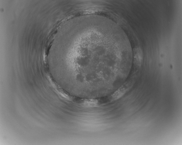 X0000051890369200507081945