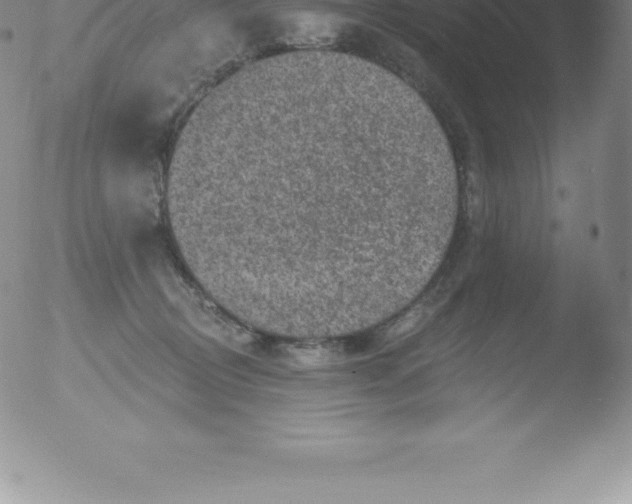 X0000051890370200507081945