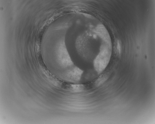 X0000051890371200507081945