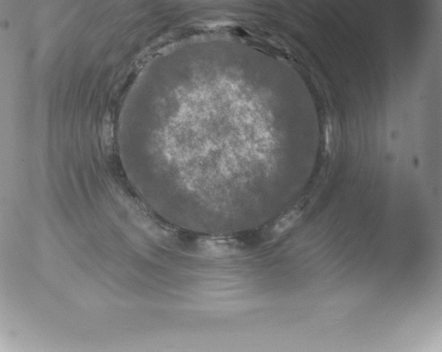 X0000051890372200507081945