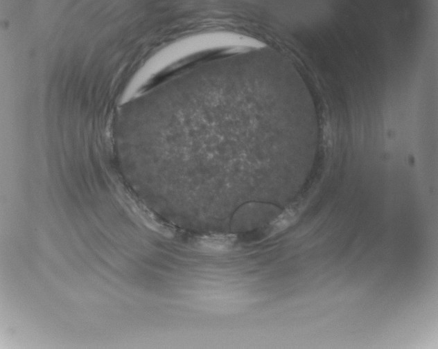 X0000051890373200507081945