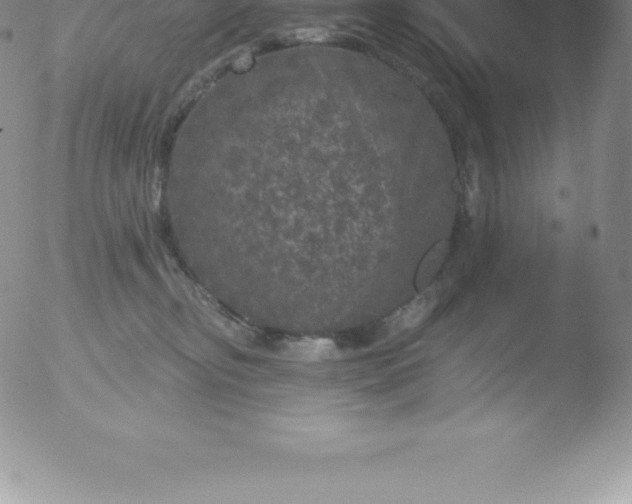 X0000051890374200507081945