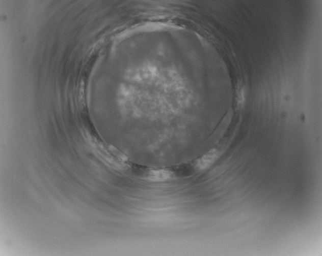 X0000051890376200507081945