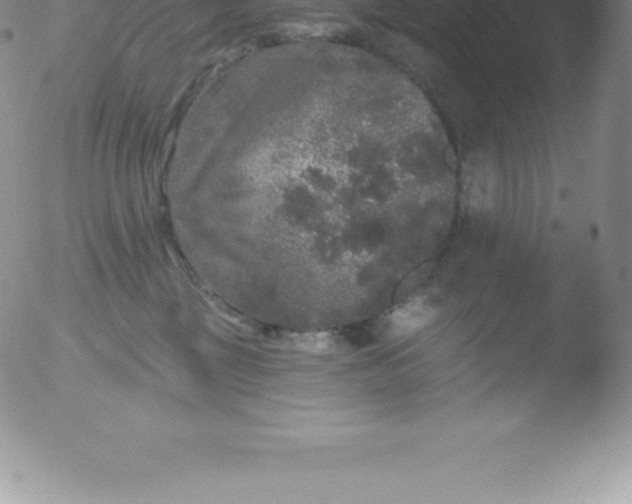 X0000051890377200507081945