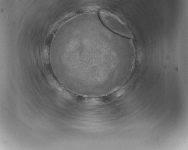 X0000051890378200507081945